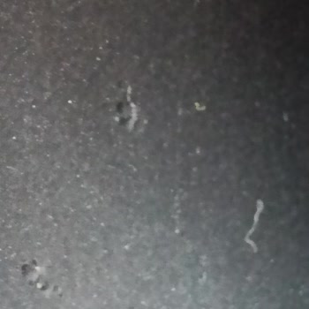 Philips Ev Aletleri Hatalı Ürün Değişim İstiyorum