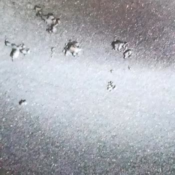 Philips Ev Aletleri Hatalı Ürün Değişim İstiyorum