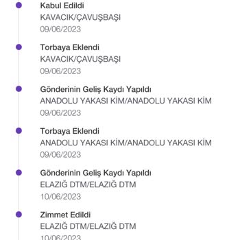 PTT Kargo Dağıtımda Kargom Gelmedi