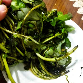 Siemens Buzdolabı Sebzeleri Bozuyor