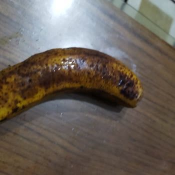 Siemens Buzdolabı Sebzeleri Bozuyor