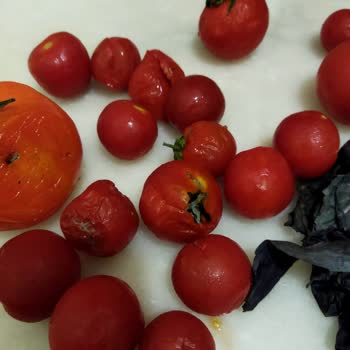 Siemens Buzdolabı Sebzeleri Bozuyor