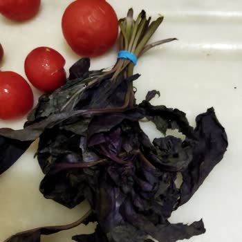 Siemens Buzdolabı Sebzeleri Bozuyor