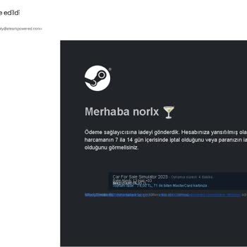 Steam Papara Kartına İade Edilen Oyunun Parası Yatmaması