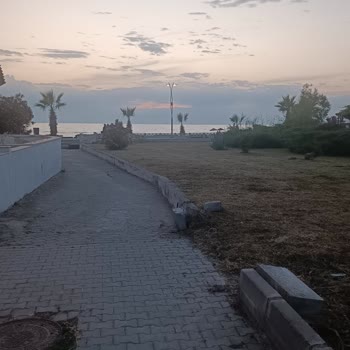 Kuşadası Belediyesi İlgisizliği ve Yeşil Alandaki Çöpler