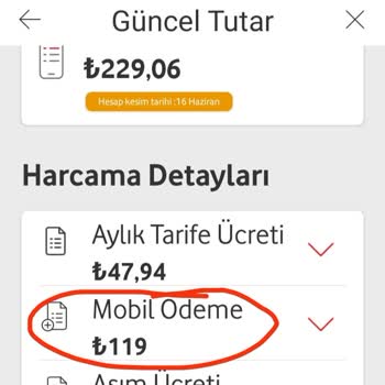 Payguru Bilgim Dışında 119 TL Sözde Abonelik Bedeli Yansıtması