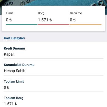 Kredi Kayıt Bürosu. Borç Sildirme...