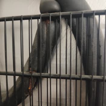 Arçelik Derin Dondurucu Şikayeti