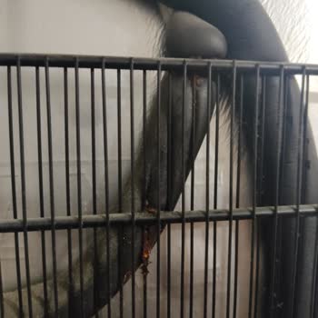 Arçelik Derin Dondurucu Şikayeti