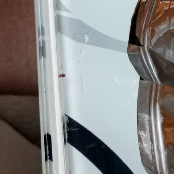 Doritos Cips Böcek Çıkması