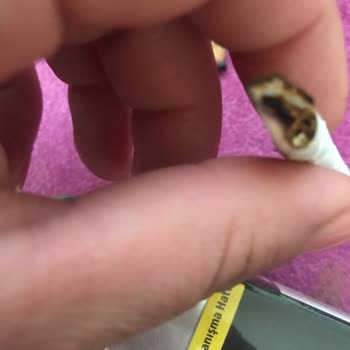Marlboro Touch Blue Odun Parçası