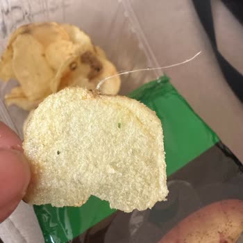 Seykar Gıda Pattes Cips İçinde Çıkan Kıl