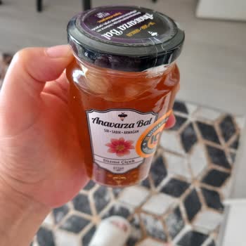 Anavarza Bal Dibinde Tortuluk