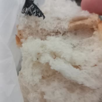 Ekin Fırın Ekmekten Siyah Bant Çıktı