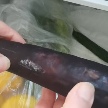 LG Bozuk Buzdolabı Satışı