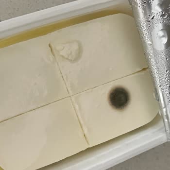 BİM Kırık Ve Küflü Peynir Kutusu