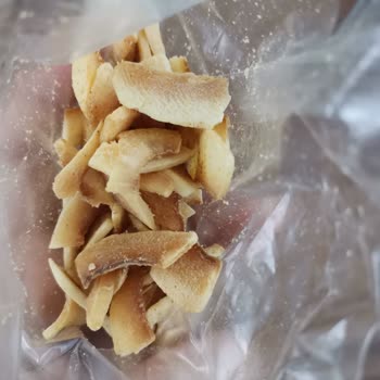 The Lifeco Hindistan Cevizi Cipsi Küflü Çıktı