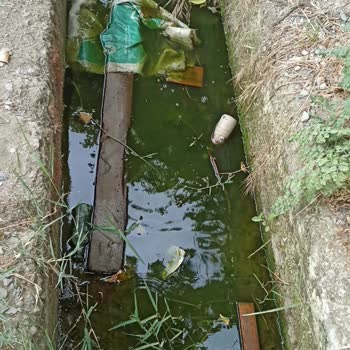 Edremit Belediyesi Su Kanalını Temizlemiyor Sineklerden Şikayetçiyiz