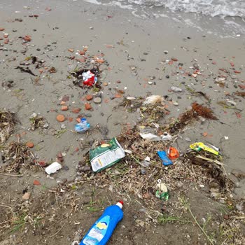 Lapseki Belediyesi Gazi Süleymanpaşa Caddesi Plaj Temizlik Sorunu