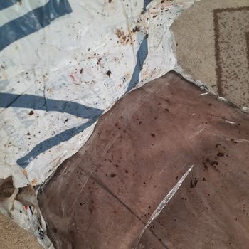 Zülays'dan Aldığım İki Adet Kaban Sürat Kargo Tarafından Çemenli Geldi