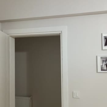 A101 Kargo Kutusundan Çıkan Zehirli Ve Dev Örümcek