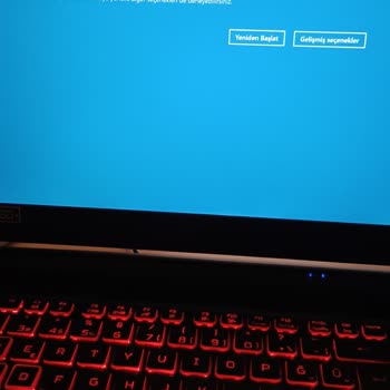 Avast Driver Update Programı İşlerimi Mahvetti!