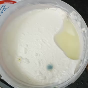 İçim Yoğurt Küflenmesi Son Kullanma Tarihine Daha Çok Var