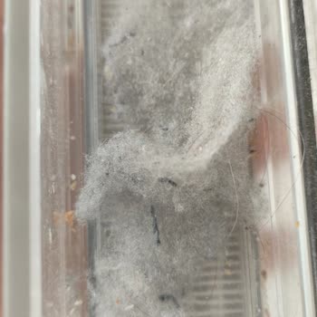 BM Home Hav Veriyor Aşırı