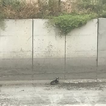 İstanbul İtfaiyesi Bakırköy Yardıma Gelmiyor Ve Kaba Konuşuyor