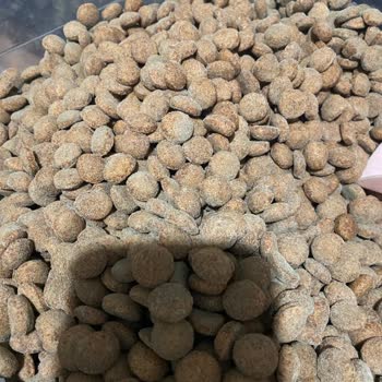 Mutamin.com Mutamin Mama Şikayet