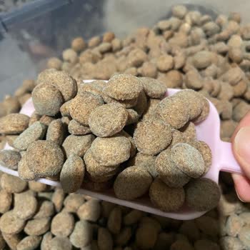 Mutamin.com Mutamin Mama Şikayet