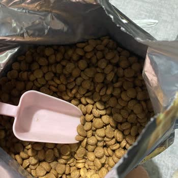 Mutamin.com Mutamin Mama Şikayet