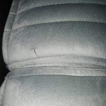 Mondi Tam Bir Pişmanlık