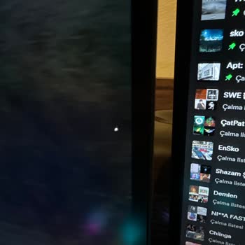 Viewsonic -Ölü Piksel Sorunu Var