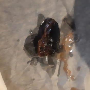 Gelincik Haşhaş Gelincik Marka Haşhaş Ezmesinin İçinden Siyah Bir Parça Çıktı