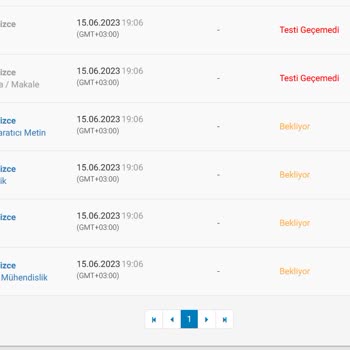 Protranslate Boşu Boşuna Yapılan "Test" Çevirileri