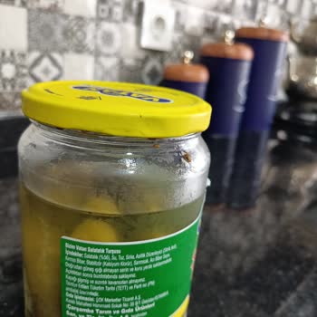 Bizim Vatan Turşu Kavanozu Böceklenmiş