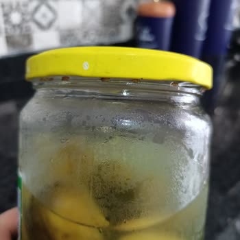 Bizim Vatan Turşu Kavanozu Böceklenmiş