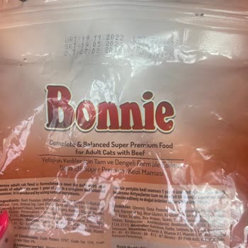 Bonnie Kedi Maması Yenmiyor