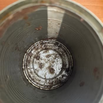 Jazzy Mama Kutu İçinde Pas Var