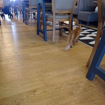 Maltepe Piazza Avm De Baydöner İskender Deki Kötü Koku