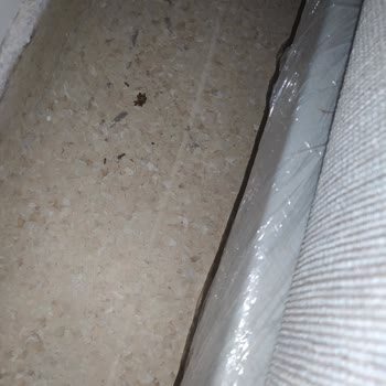 Kredi Ve Yurtlar Kurumu Yurt İlaçlaması