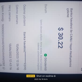 TikTok Param Hesabıma Geçemedi
