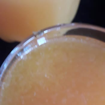 Cappy Meyve Suyu İçinden Böcek Çıktı