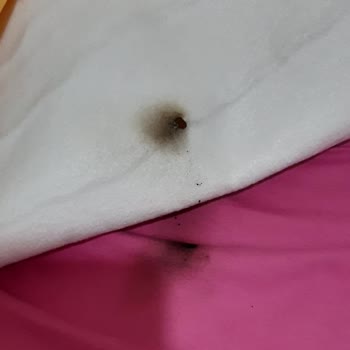 Omak Elektrikli Battaniye Yandı