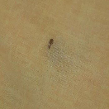 Omak Elektrikli Battaniye Yandı