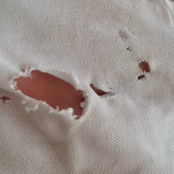 Altus Çamaşır Makinesi Elbiselerimi Delik Deşik Etti