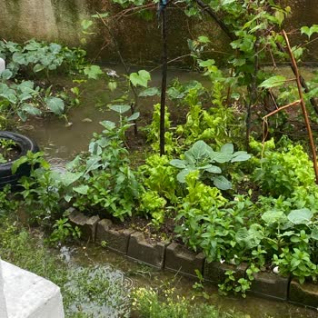 Derince Belediyesi Evimizin Önü Su Basmaktadır