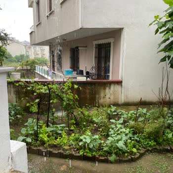 Derince Belediyesi Evimizin Önü Su Basmaktadır