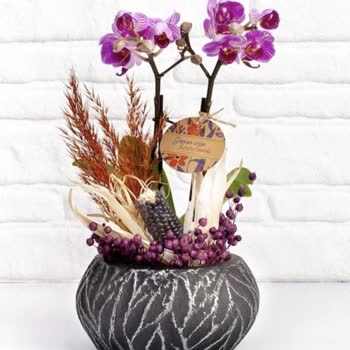 Çiçek Sepeti Şikayetle İlgilenmiyor, Müşteriyi Önemsemiyor